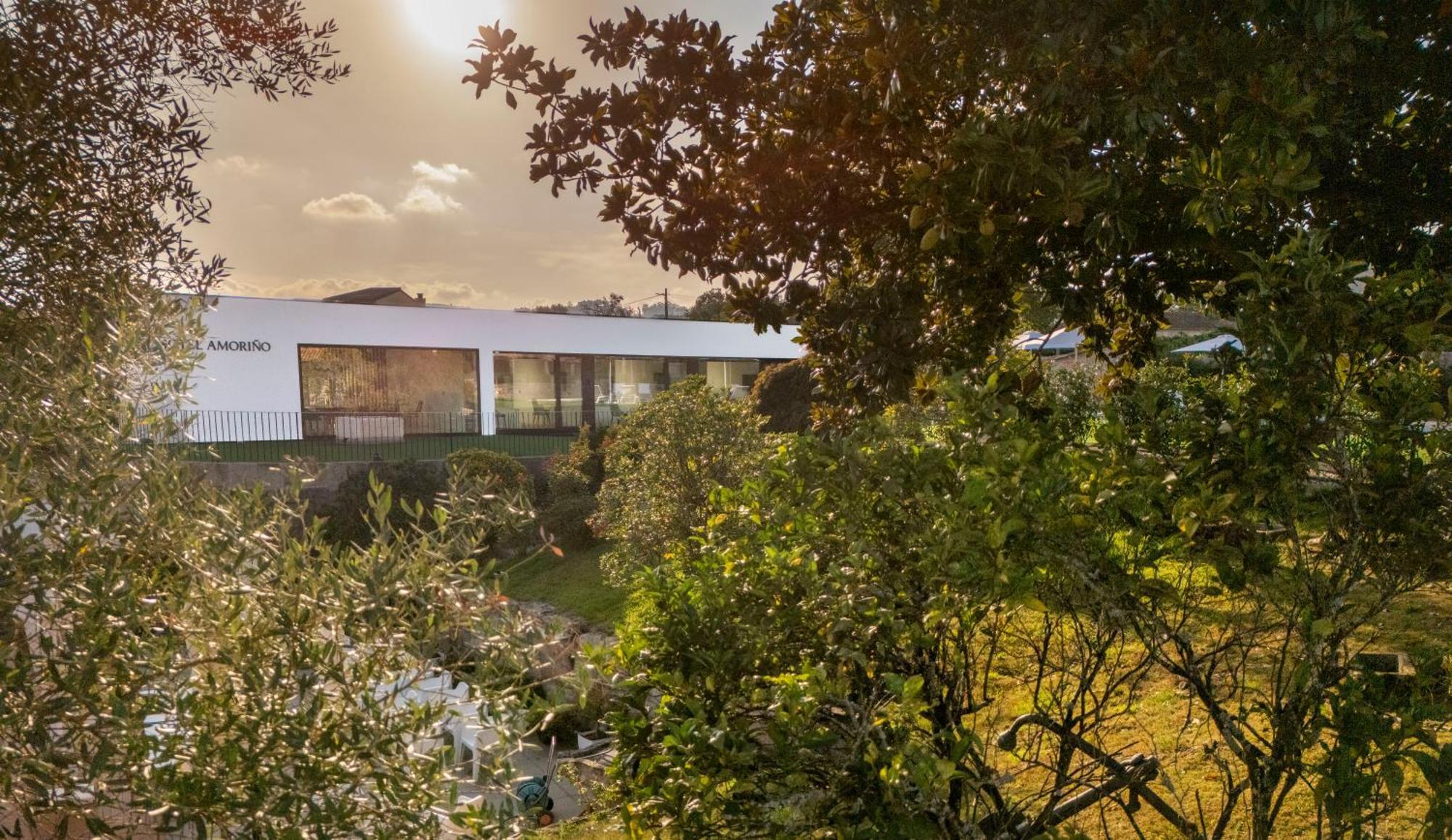 Hotel Amorino Tui Dış mekan fotoğraf